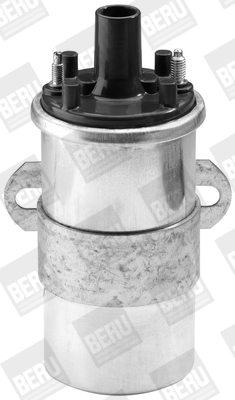 ZS117 Zapalovací cívka BorgWarner (BERU)