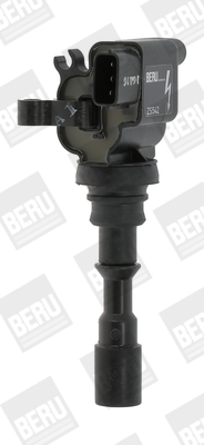 ZS542 Zapalovací cívka BorgWarner (BERU)