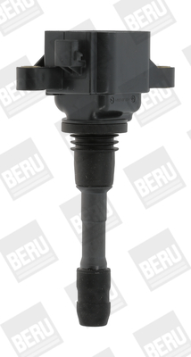 ZSE066 Zapalovací cívka BorgWarner (BERU)