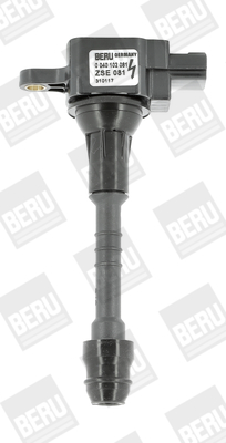 ZSE081 Zapalovací cívka BorgWarner (BERU)