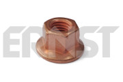 430036 Matice ERNST
