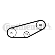 4PK855K1 Sada žebrovaných klínových řemenů CONTINENTAL CTAM