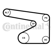 5PK1355WP4 Vodní pumpa + klínový žebrový řemen CONTINENTAL CTAM