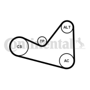 6PK1050K3 Sada žebrovaných klínových řemenů CONTINENTAL CTAM