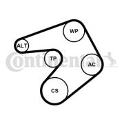 6PK1205K1 Sada žebrovaných klínových řemenů CONTINENTAL CTAM