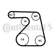 6PK1217K2 Sada žebrovaných klínových řemenů CONTINENTAL CTAM