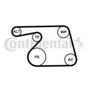 6PK1318K2 Sada žebrovaných klínových řemenů CONTINENTAL CTAM