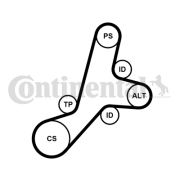 6PK1345K1 Sada žebrovaných klínových řemenů CONTINENTAL CTAM