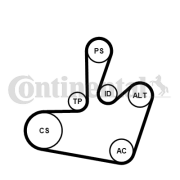 6PK1548K1 Sada žebrovaných klínových řemenů CONTINENTAL CTAM