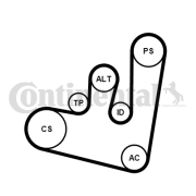 6PK1660K1 Sada žebrovaných klínových řemenů CONTINENTAL CTAM