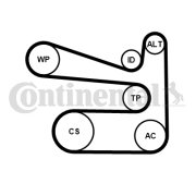 6PK1693K1 Sada žebrovaných klínových řemenů CONTINENTAL CTAM