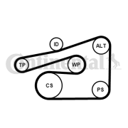 6PK1733K4 Sada žebrovaných klínových řemenů CONTINENTAL CTAM