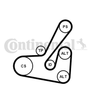 6PK1740K2 Sada žebrovaných klínových řemenů CONTINENTAL CTAM