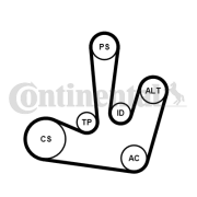 6PK1795K1 Sada žebrovaných klínových řemenů CONTINENTAL CTAM