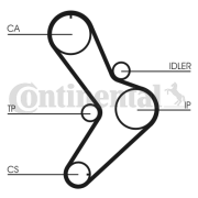 CT731 ozubený řemen CONTINENTAL CTAM