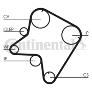 CT762 Ozubený řemen rozvodů CONTINENTAL CTAM