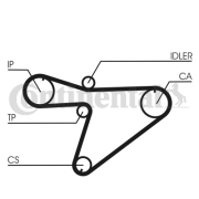 CT810 Ozubený řemen rozvodů CONTINENTAL CTAM