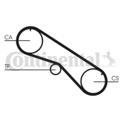 CT818 Ozubený řemen rozvodů CONTINENTAL CTAM