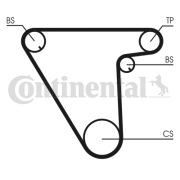 CT833 Ozubený řemen rozvodů CONTINENTAL CTAM