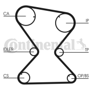 CT842 Ozubený řemen rozvodů CONTINENTAL CTAM