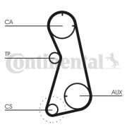 CT872 Ozubený řemen rozvodů CONTINENTAL CTAM