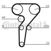 CT880 Ozubený řemen rozvodů CONTINENTAL CTAM