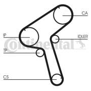 CT897 Ozubený řemen rozvodů CONTINENTAL CTAM