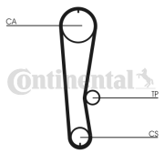 CT936 Ozubený řemen rozvodů CONTINENTAL CTAM