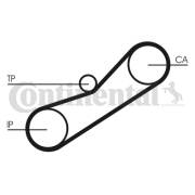 CT950 Ozubený řemen rozvodů CONTINENTAL CTAM