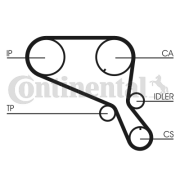 CT952 Ozubený řemen rozvodů CONTINENTAL CTAM