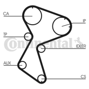 CT966 Ozubený řemen rozvodů CONTINENTAL CTAM