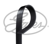 8PK1223ESXS ozubený klínový řemen Micro-V® GATES
