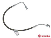 T 24 011 Brzdová hadice ESSENTIAL LINE BREMBO