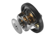 3497.88D Termostat, chladivo BorgWarner (Wahler)