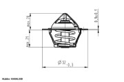 410806.88D Termostat, chladivo BorgWarner (Wahler)