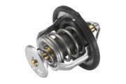 4639.82D Termostat, chladivo BorgWarner (Wahler)