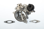 7650D AGR-Ventil BorgWarner (Wahler)