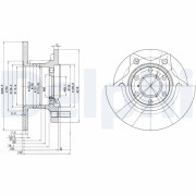 BG302 Brzdový kotouč DELPHI
