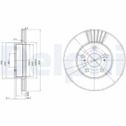 BG3171 Brzdový kotouč DELPHI
