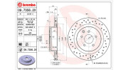 360406103902 Brzdový kotouč MAGNETI MARELLI