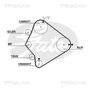 8645 5354xs Ozubený řemen rozvodů TRISCAN
