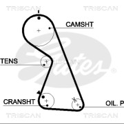 8645 5481xs Ozubený řemen rozvodů TRISCAN