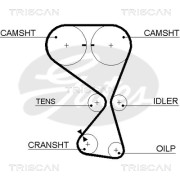 8645 5534xs Ozubený řemen rozvodů TRISCAN