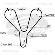 8645 5555xs Ozubený řemen rozvodů TRISCAN