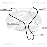 8645 5573xs Ozubený řemen rozvodů TRISCAN