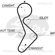 8645 5579xs Ozubený řemen rozvodů TRISCAN