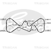 8645 5612xs Ozubený řemen rozvodů TRISCAN