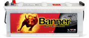 010640350101 BANNER Startovací baterie 12V / 140Ah / 760A - levá (Buffalo Bull) | 010640350101 (640 35) Banner