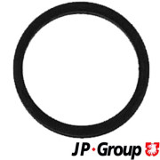 1115550900 Těsnicí kroužek, vstřikování JP GROUP JP GROUP