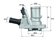 TI 144 88 Termostat, chladivo BEHR MAHLE